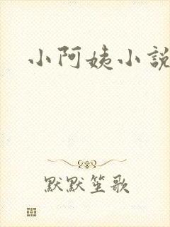 小阿姨小说