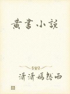 黄书小说