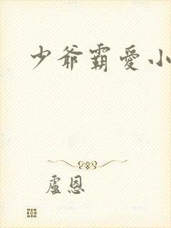 少爷霸爱小丫头