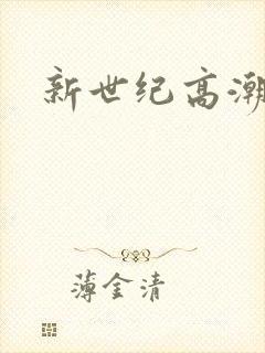 新世纪高潮战队