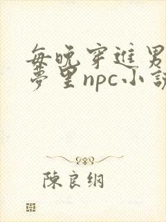 每晚穿进男神的梦里npc小说