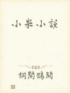 小米小说