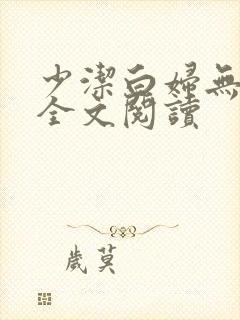 少洁白妇无删减全文阅读