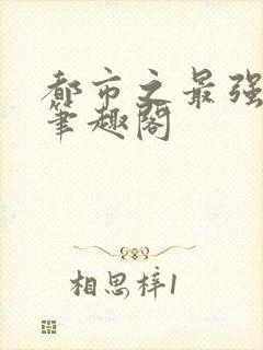 都市之最强狂兵笔趣阁