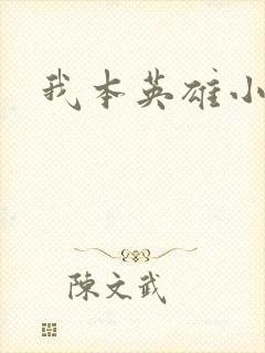 我本英雄小说