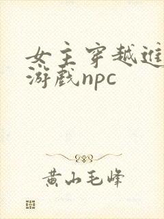 女主穿越进18游戏npc