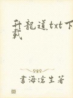 升龙道txt下载