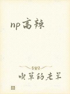 np高辣