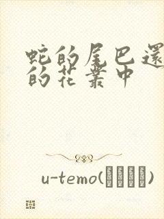 蛇的尾巴还在我的花丛中