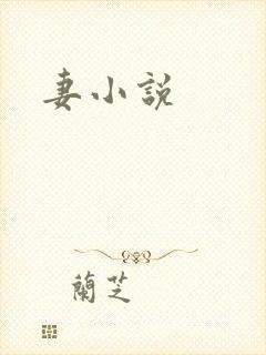 妻小说