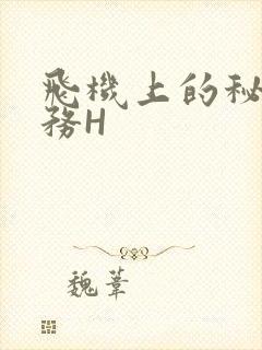 飞机上的秘密服务H