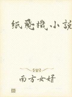 纸飞机小说