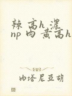 辣 高h 浓 np 肉 黄高h