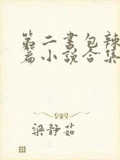 第二书包辣网短篇小说合集