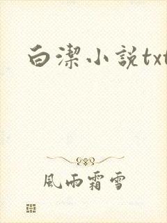 白洁小说txt