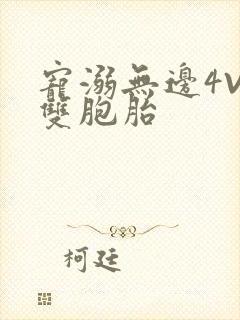 宠溺无边4V2双胞胎