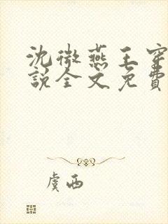 沈微燕王穿越小说全文免费阅读