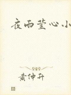 夜雨莹心小说