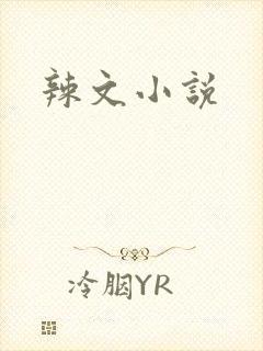 辣文小说