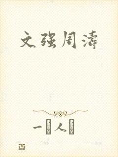 文强周涛