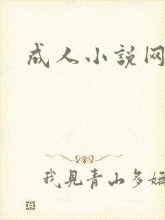 成人小说网