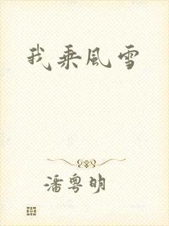 我乘风雪