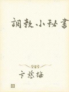 调教小秘书