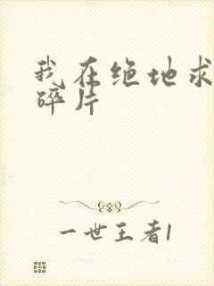 我在绝地求生捡碎片