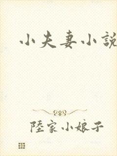 小夫妻小说