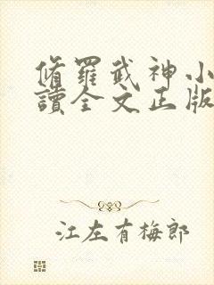 修罗武神小说阅读全文正版