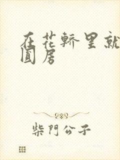 在花轿里就开始圆房