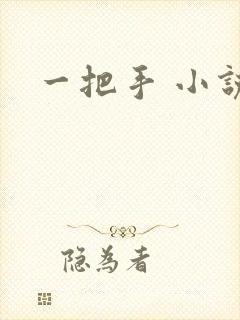 一把手 小说