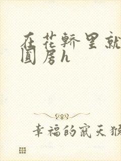 在花轿里就开始圆房h