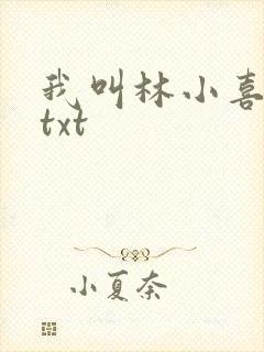 我叫林小喜小说txt