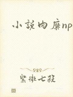 小说肉糜np