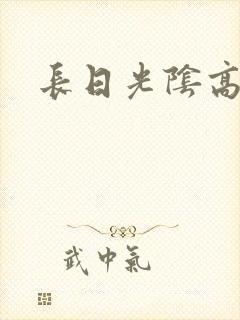 长日光阴高h
