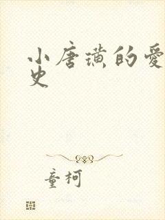 小唐璜的爱情历史