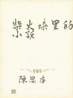 柴火垛里的疯狂小说