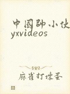 中国帅小伙gayxvideos