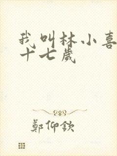 我叫林小喜今年十七岁