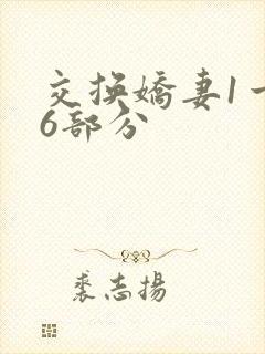 交换娇妻1一36部分