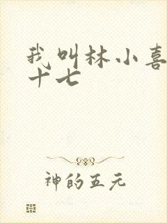 我叫林小喜今年十七