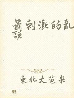 最刺激的乱惀小说