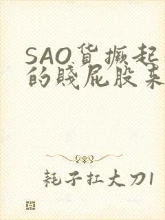 SAO货撅起你的贱屁股来