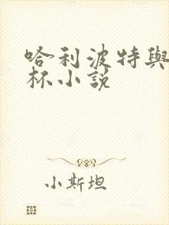 哈利波特与火焰杯小说