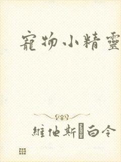 宠物小精灵漫画