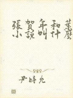 张贺年和叶繁姿小说叫什么名字