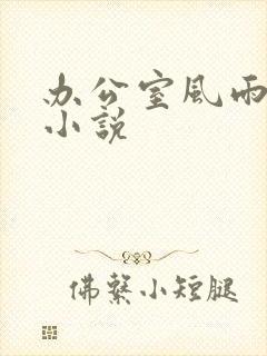 办公室风雨完整小说