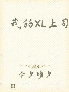 我的XL上司