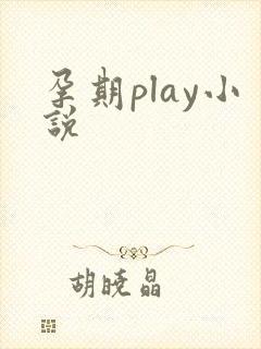 孕期play小说